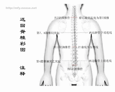 脊柱旁穴道